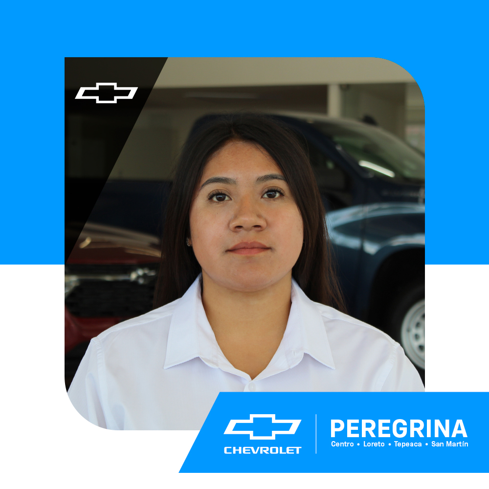 Cisneros Martinez Ana Karen Grupo Automotriz Peregrina