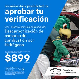 Servicio-Julio-Peregrina-Verificación